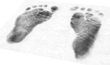 Rachel's Feet